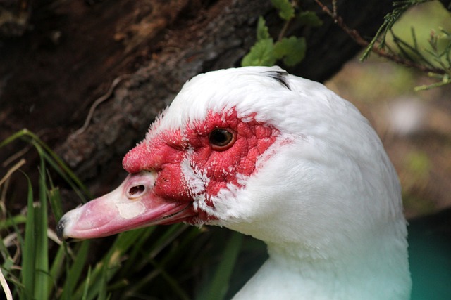 快船击败尼克斯,勇士跌至第七!火箭面临大考,季后赛或将正面碰撞.