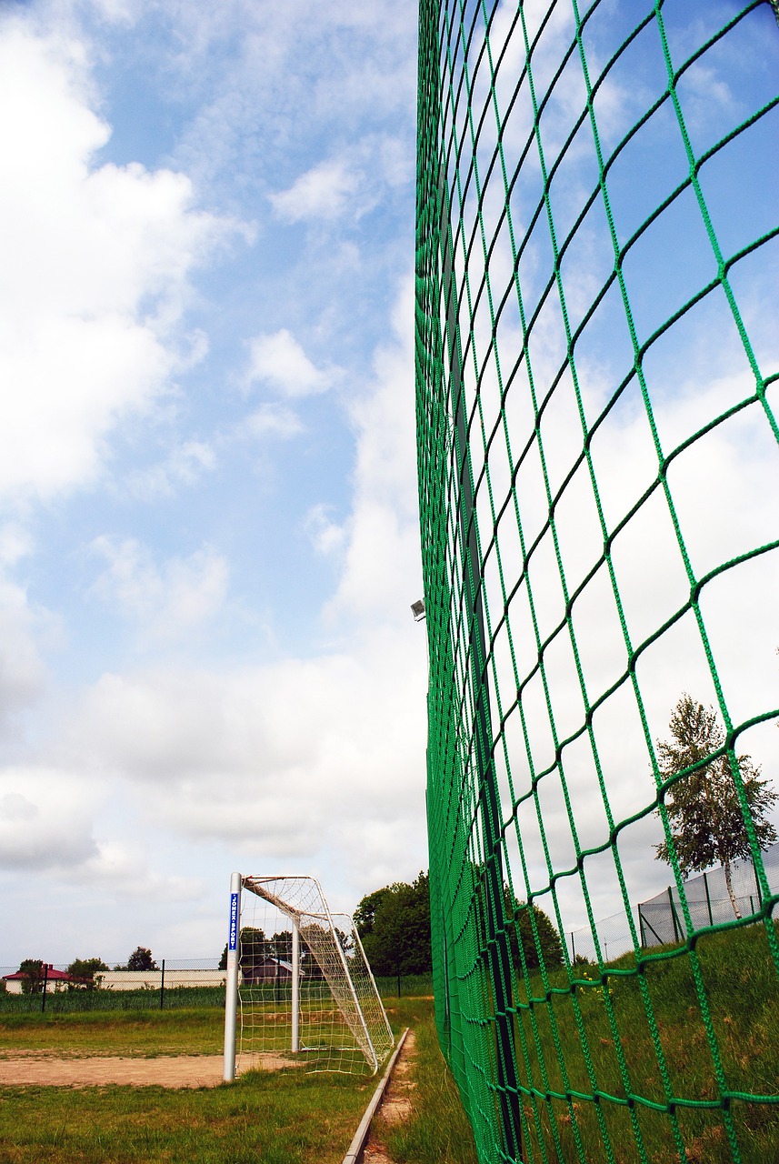 未来的某一 未来的某一