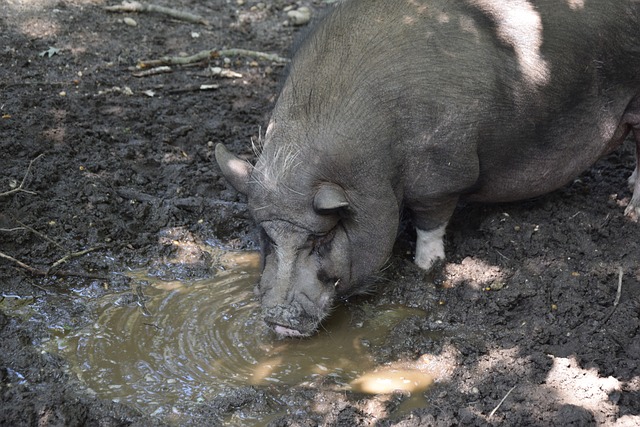 来充满希望 来充满希望