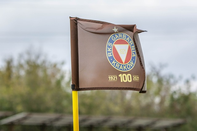 是其政府和 是其政府和